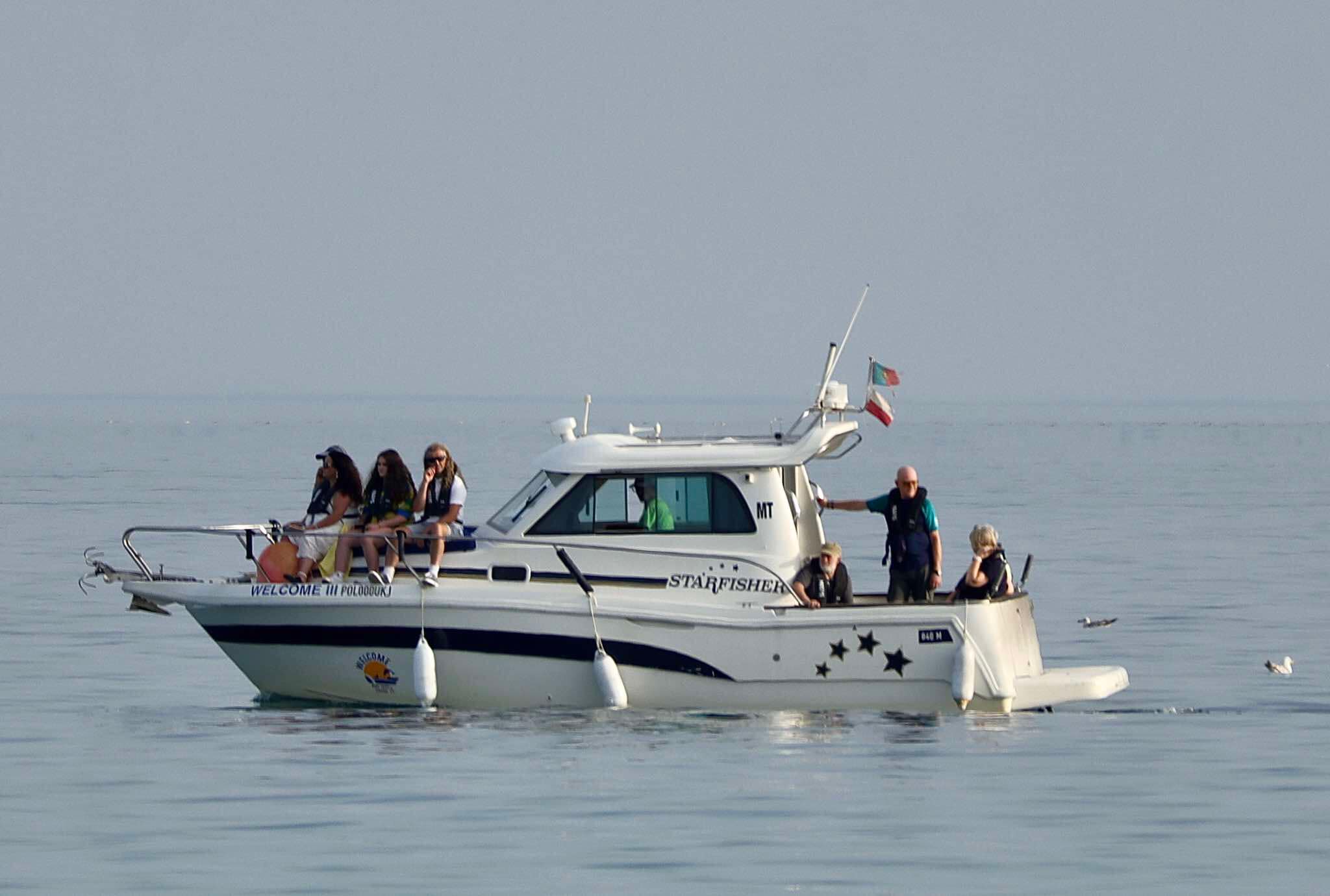 Costa algarvia com falésias douradas